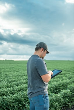 grower in soybean field