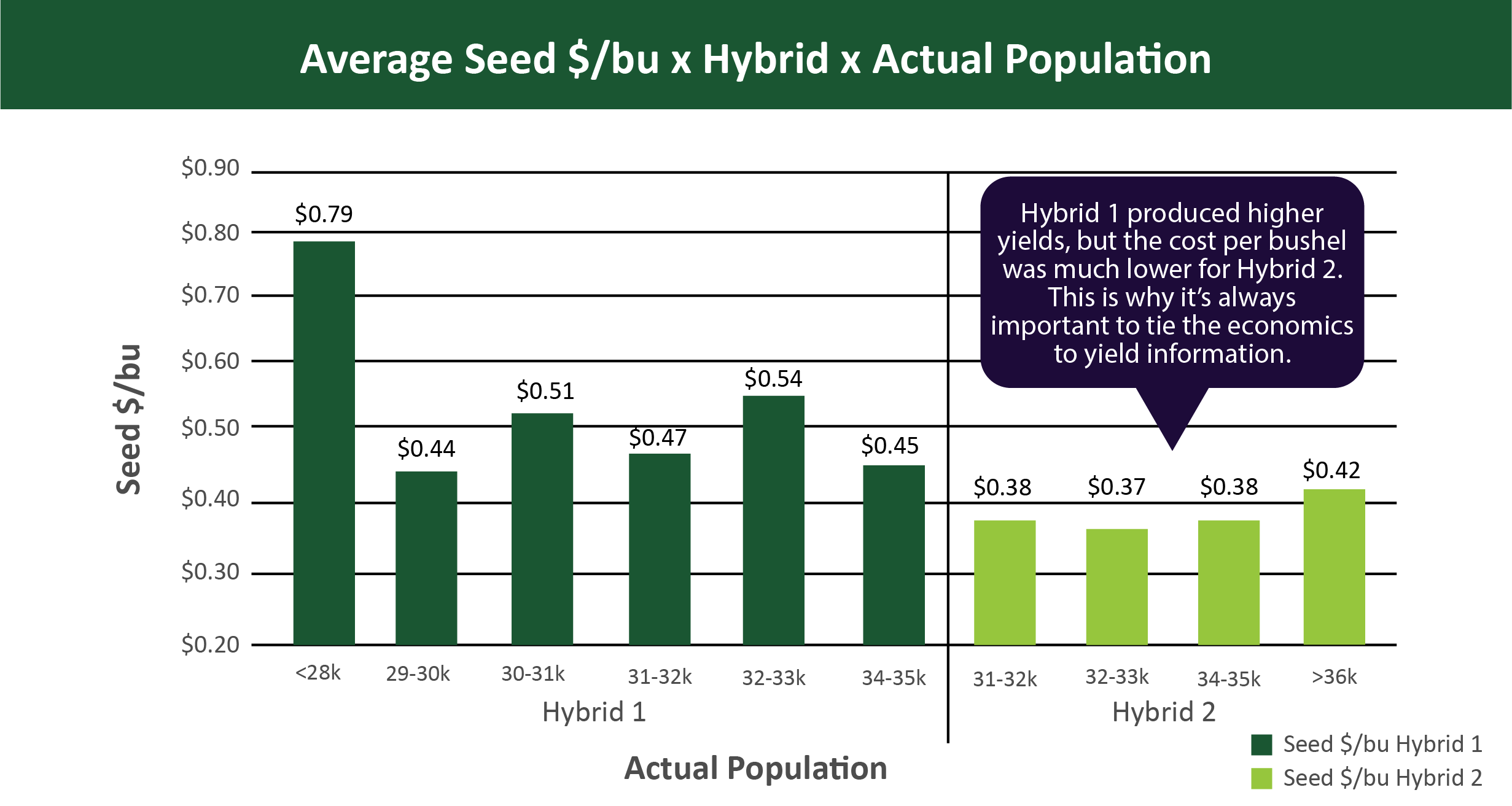 Seed x Hybrid x Pop-01-4