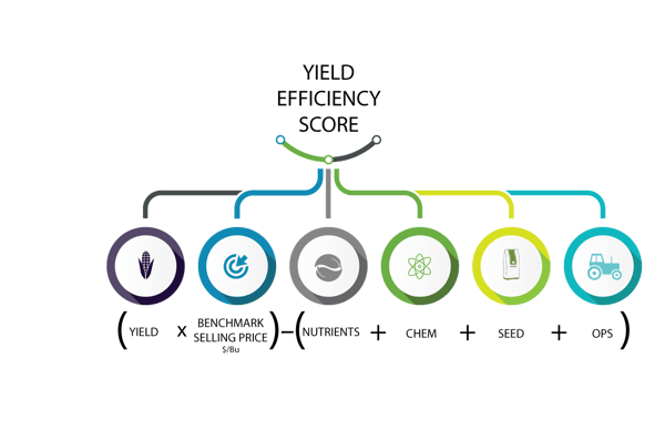 Yield Efficiency score to calculate farm margin