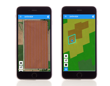 dataview field scouting app