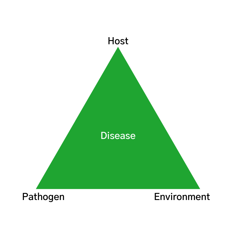 diseaseHost