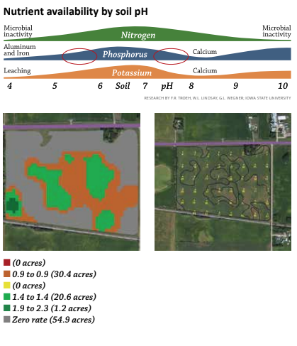 nutrient availability by soil ph