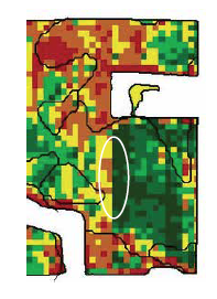 analyze yield data with your yield map
