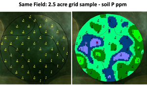 grid soil sample benefits at 2.5 acres